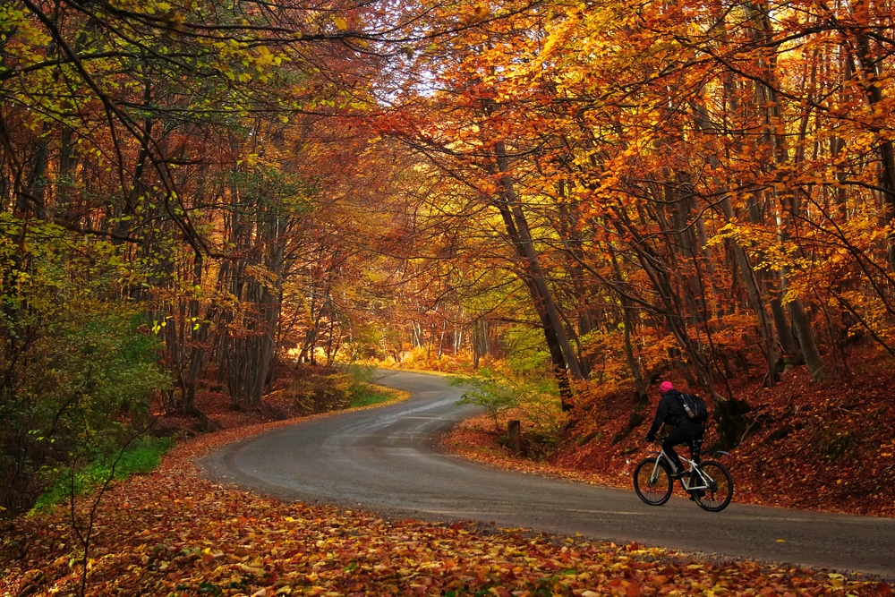 biking through fall colors in Wisconsin, after visiting Grandad Bluffs in La Crosse
